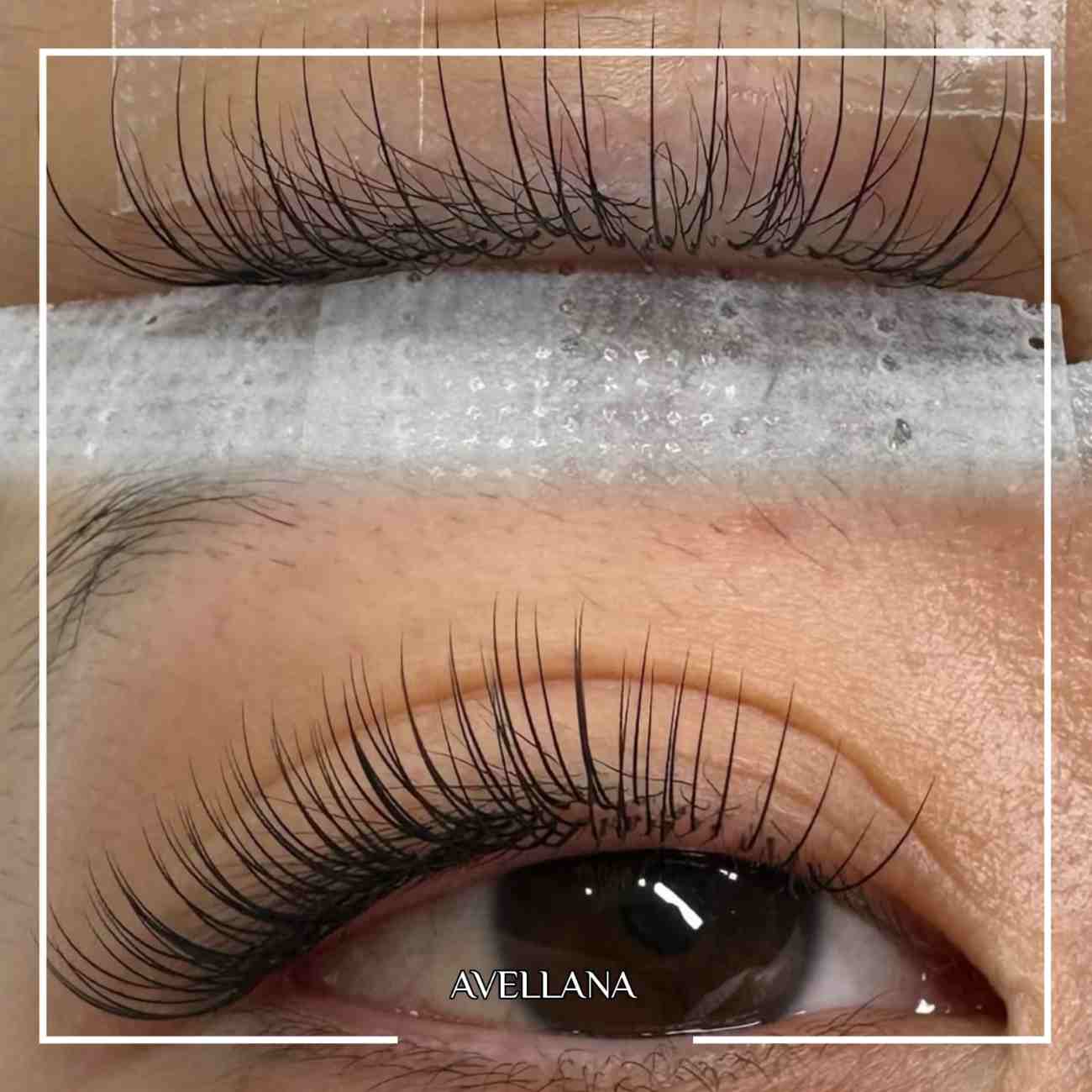 Avellena Güzellik Kulübü